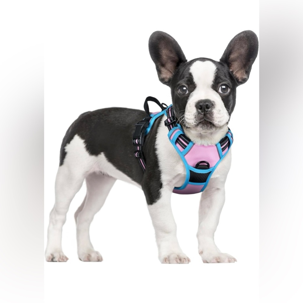 NEW SIZE SMALL rabbitgoo Dog Harness No Pull with 2 Leash Clips, Adjustable